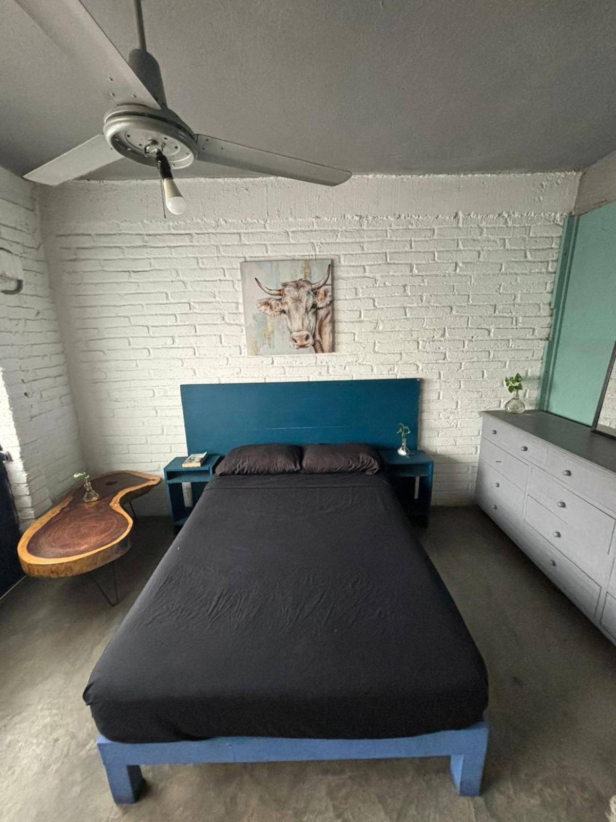 Canova Hostel & Pizza Пуерто Валярта Екстериор снимка